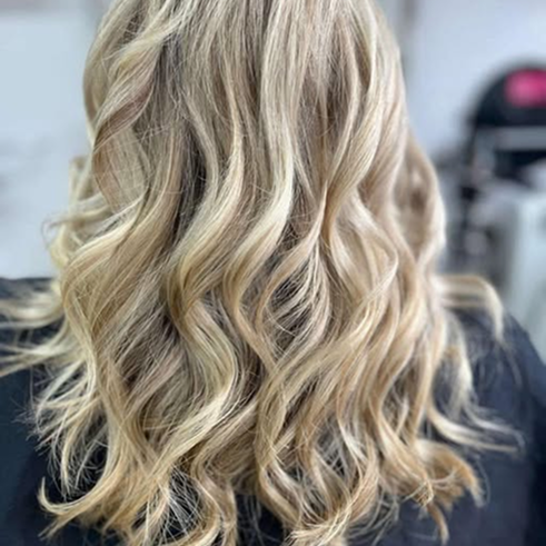 T-Section Highlights with Blow Dry